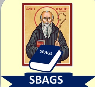 STBAGS